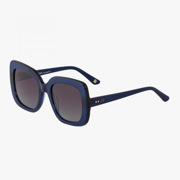 CFS006 - Image 3